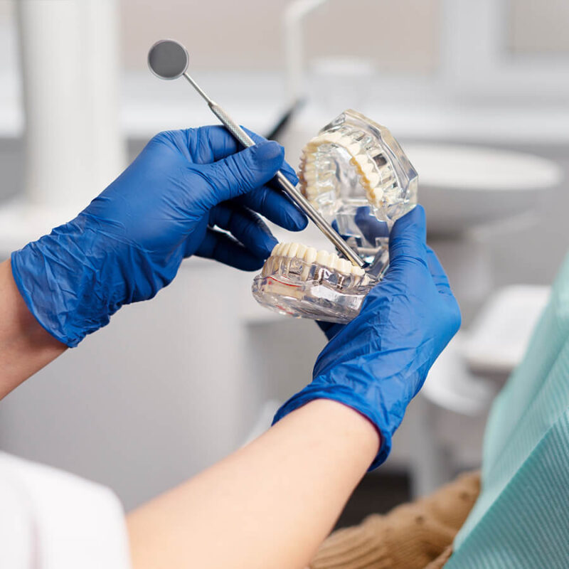 a dentist demonstrating a dental treatment procedure using a anatomical model jaw