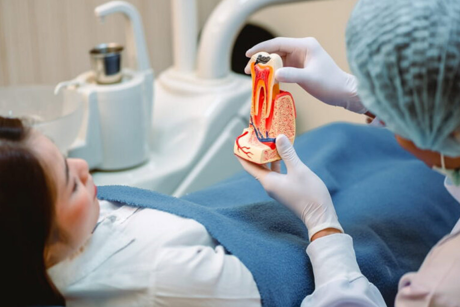 Doctor showing a model of a tooth explaining about a root canal
